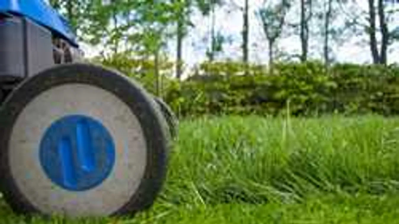 Röpke fűnyírást tervezett a somogydöröcskei férfi, verés lett a vége