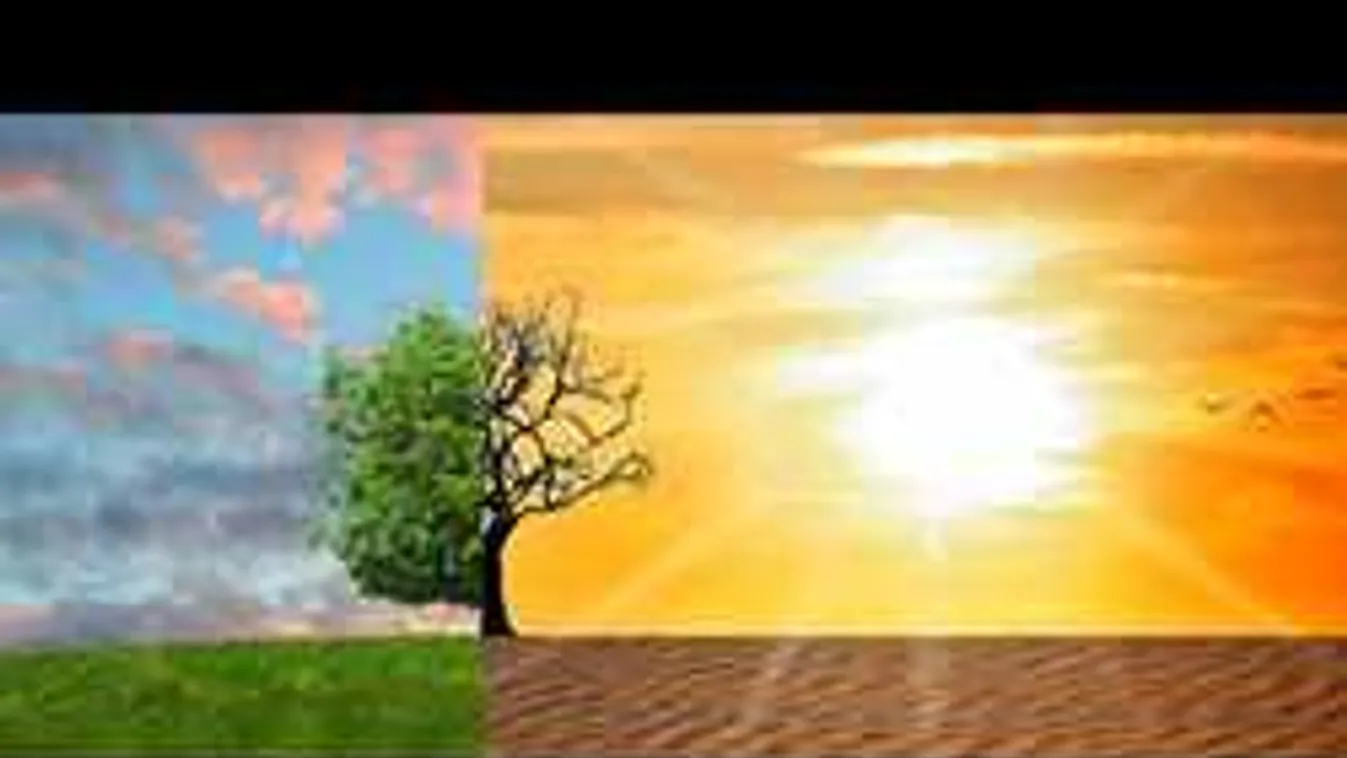 Beigazolódik a jóslat, már száz éve figyelmeztettek az emberiség sorsára