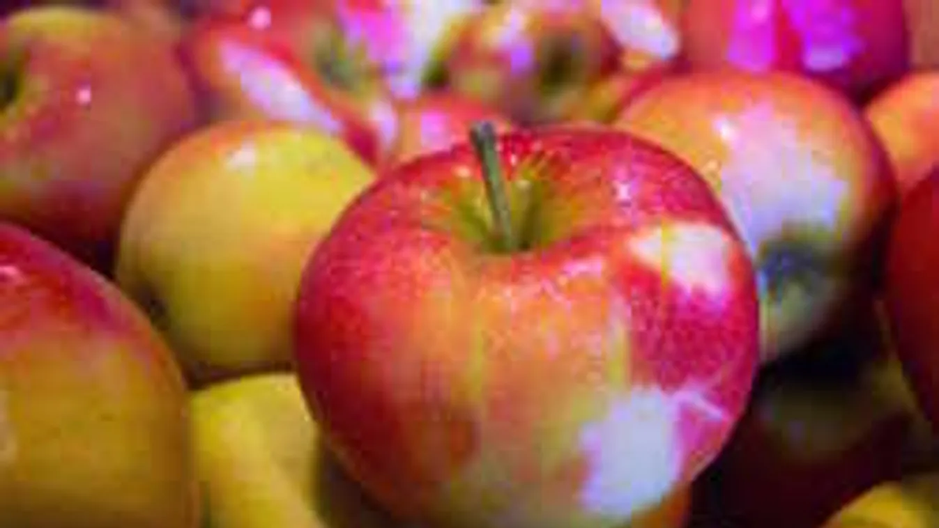 Döbbenet! Csak így marad friss az alma télen