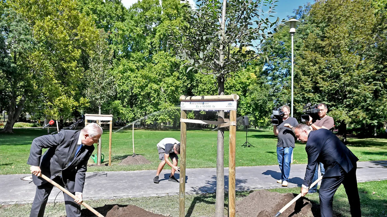 TARLÓS István; NAGY István