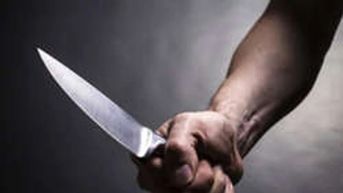 Friss információk: Tovább bonyolódik a zagyvarékasi anyagyilkosság!