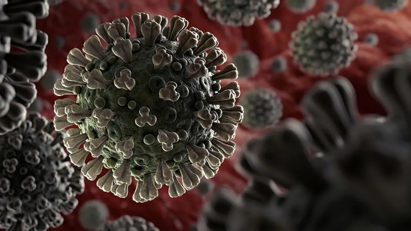 Koronavírus: ezer katonát telepítenek New Yorkba, többmillió maszkot gyártanak