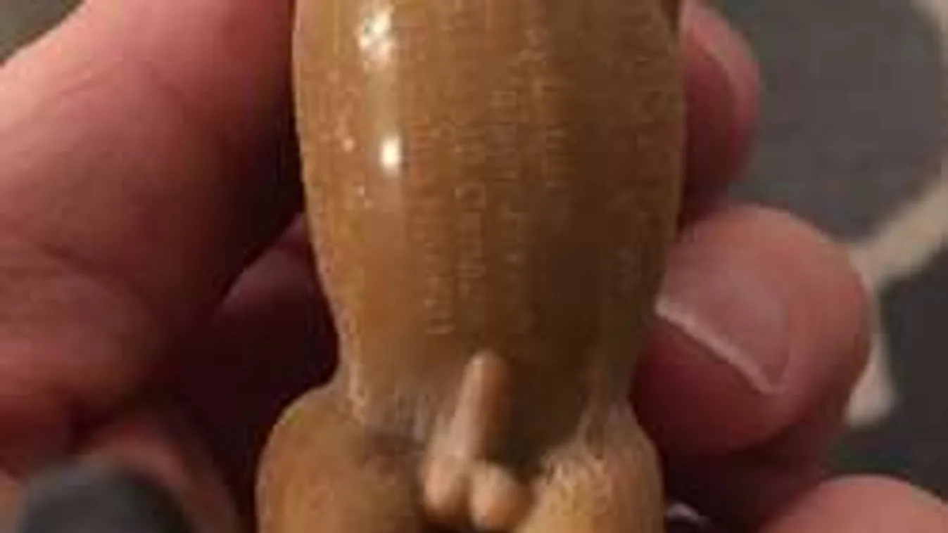 Háborognak a szülők a szexista gyerekjáték miatt