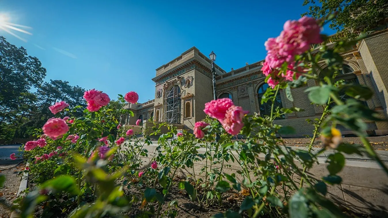 Gyönyörű rózsakert, Zsolnay díszkút és szökőkút vár a Liget legrégibb és legdíszesebb épülete előtt hamarosan!