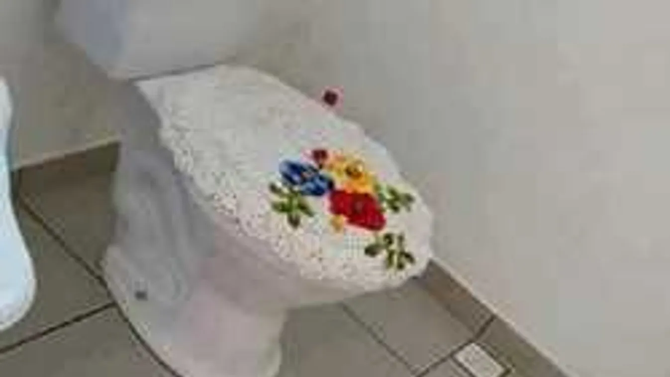 Döbbenet, cifra kézimunka lett a divat a vécében