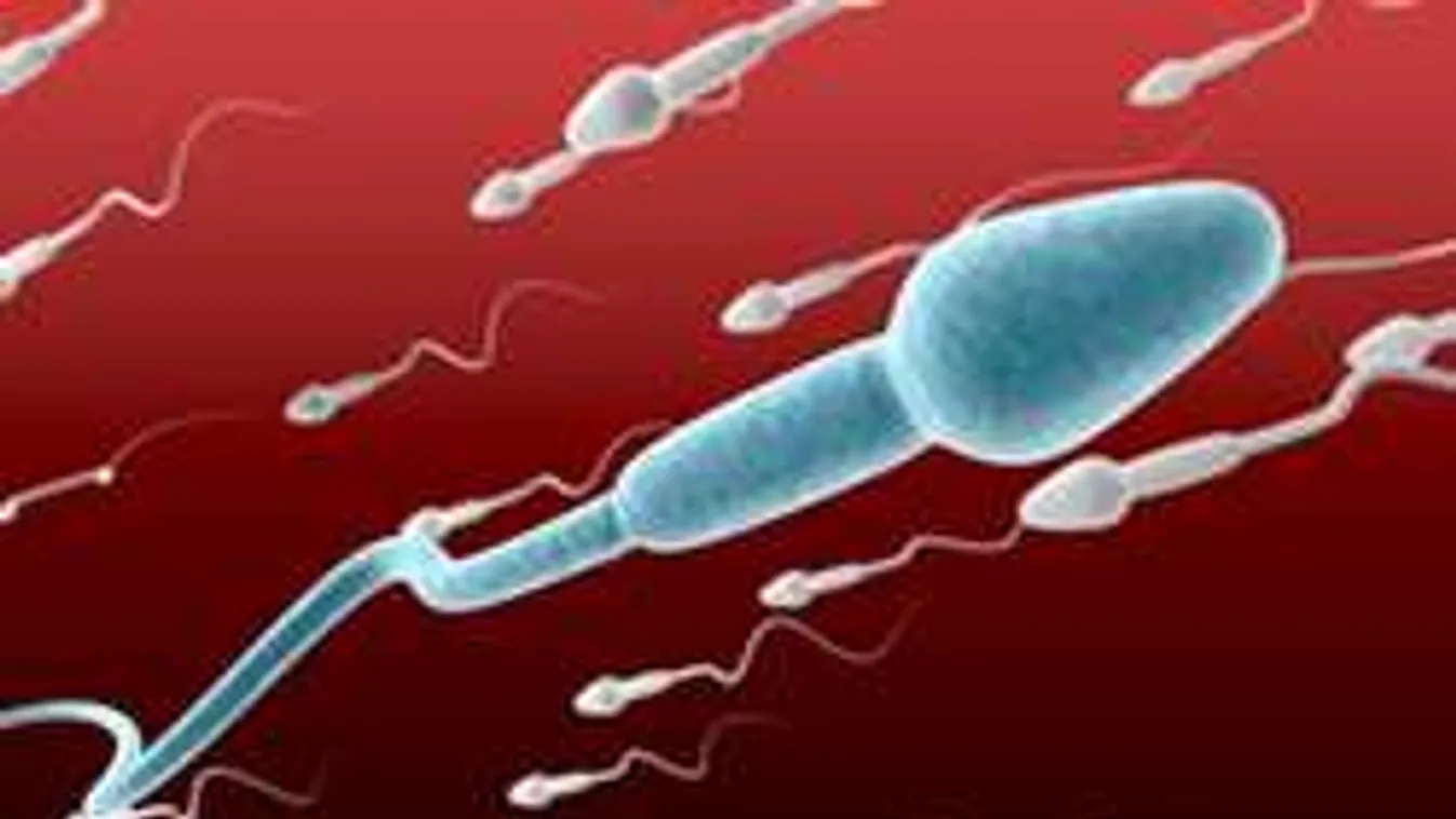 7 jel, hogy a spermád erős és egészséges!