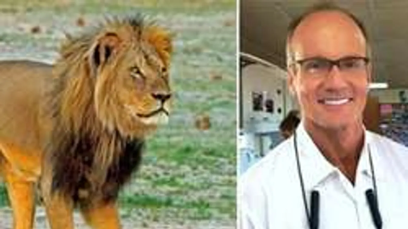 A bosszútól rettegő oroszlángyilkos a családjával együtt bujkál