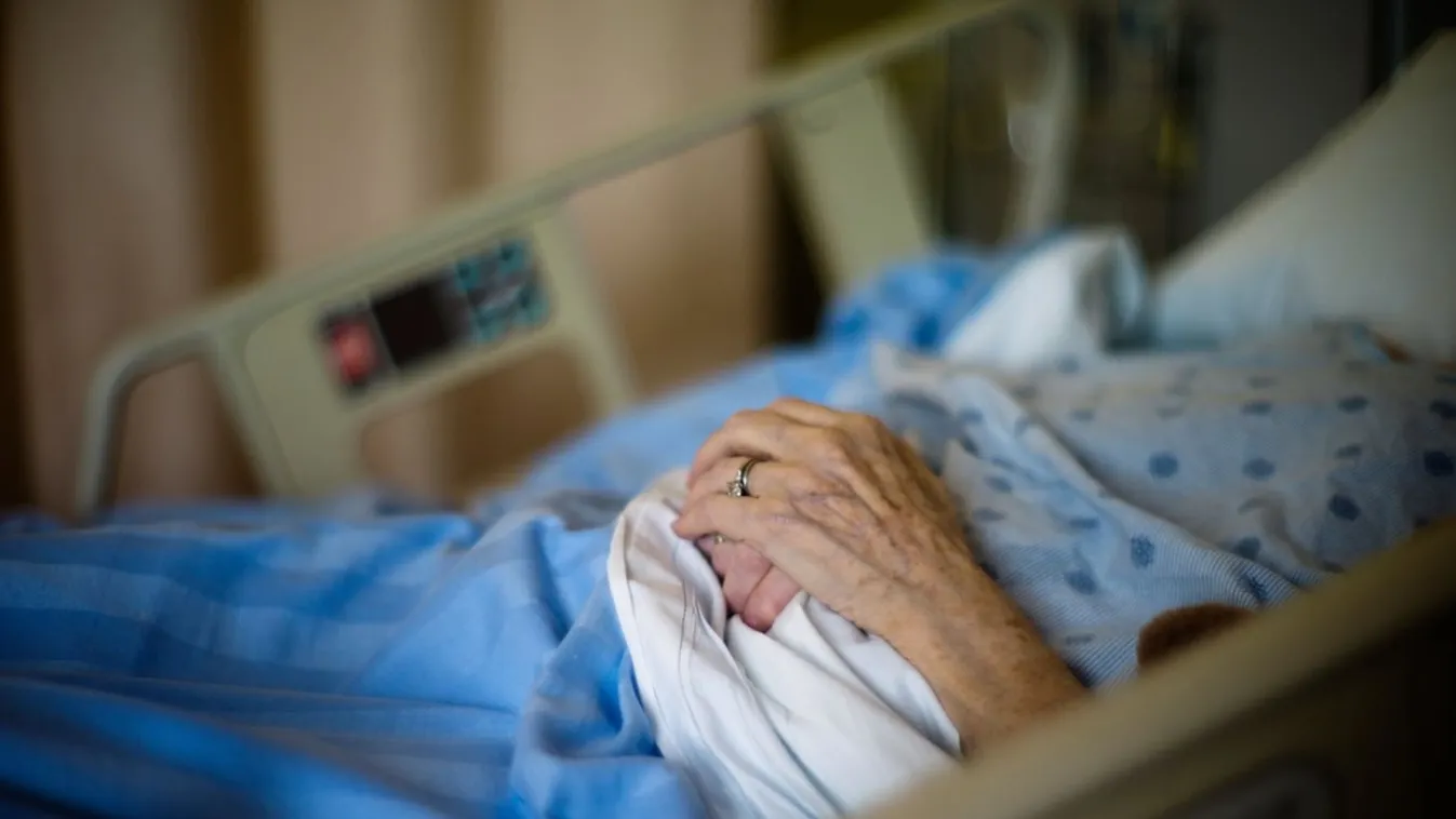 Old woman's hands in hospital bed.