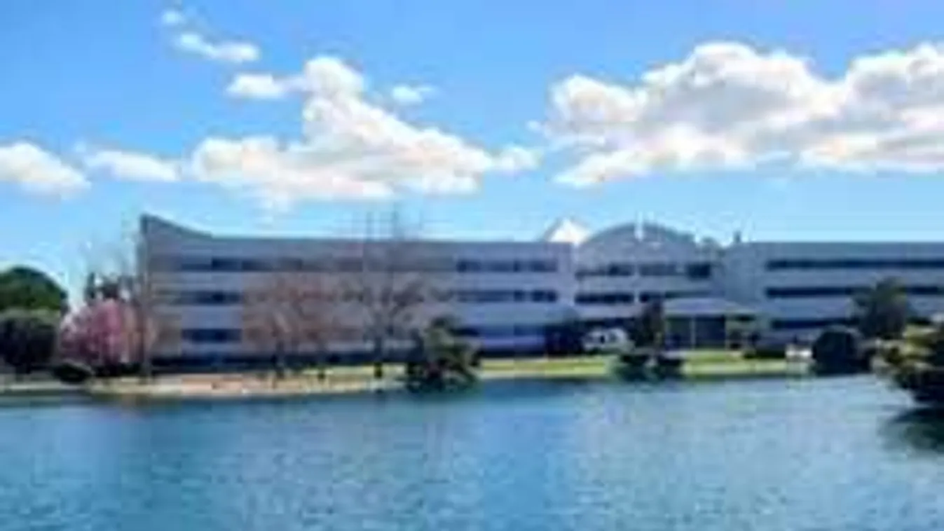 Megerőszakolta a 21 éves brit egyetemistát a kameruni migráns