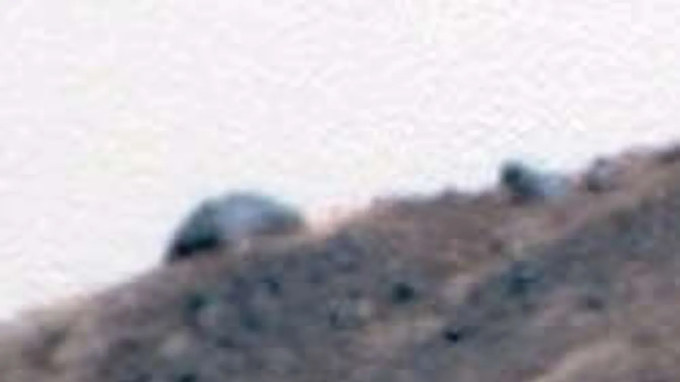 Rejtélyes kupolaszerű építményt találtak a Marson!