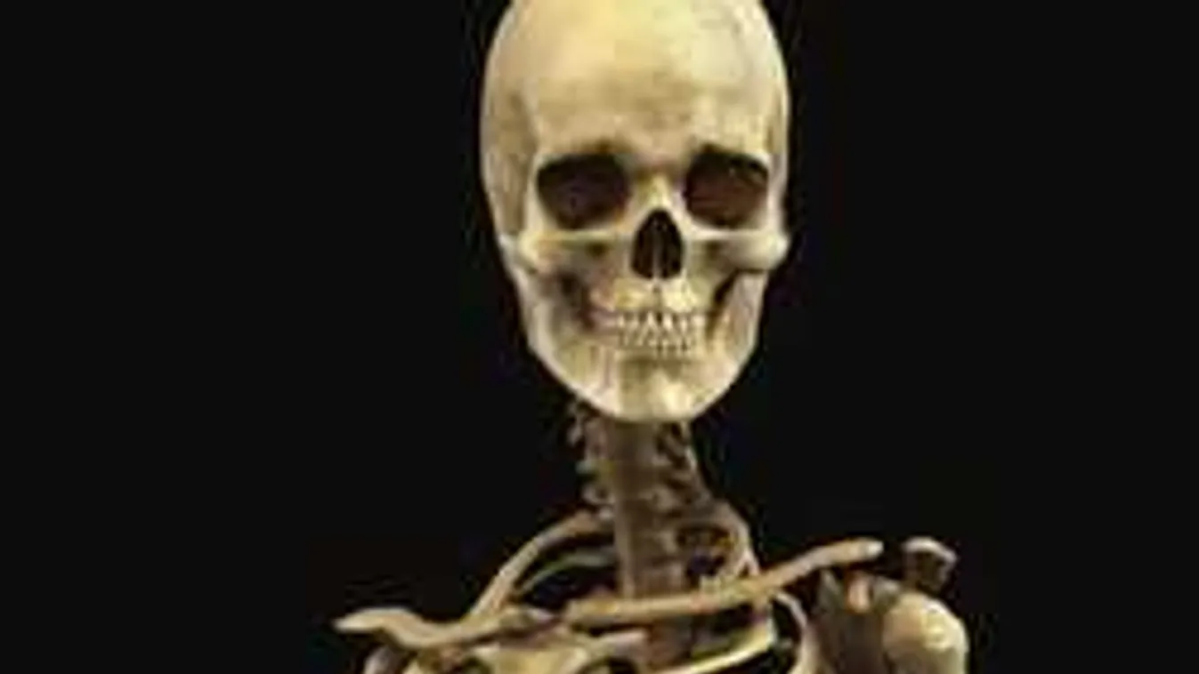 Döbbenet, levágott lábú női csontvázat találtak a vízvezeték kiépítése közben