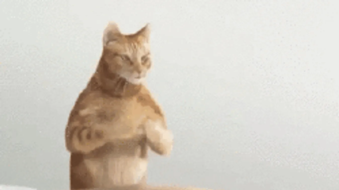 Ezért a huncutságért járnak a férjes asszonyok masszázsra