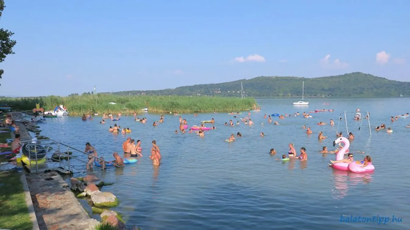 Elutasították az MSZP népszavazási kérdéseit