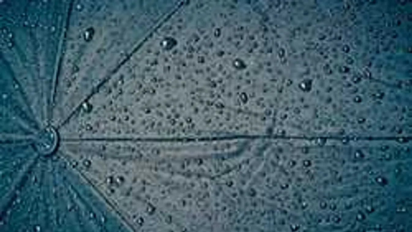 Dupla riasztást kapott az ország: viharos széllel jön a felhőszakadás