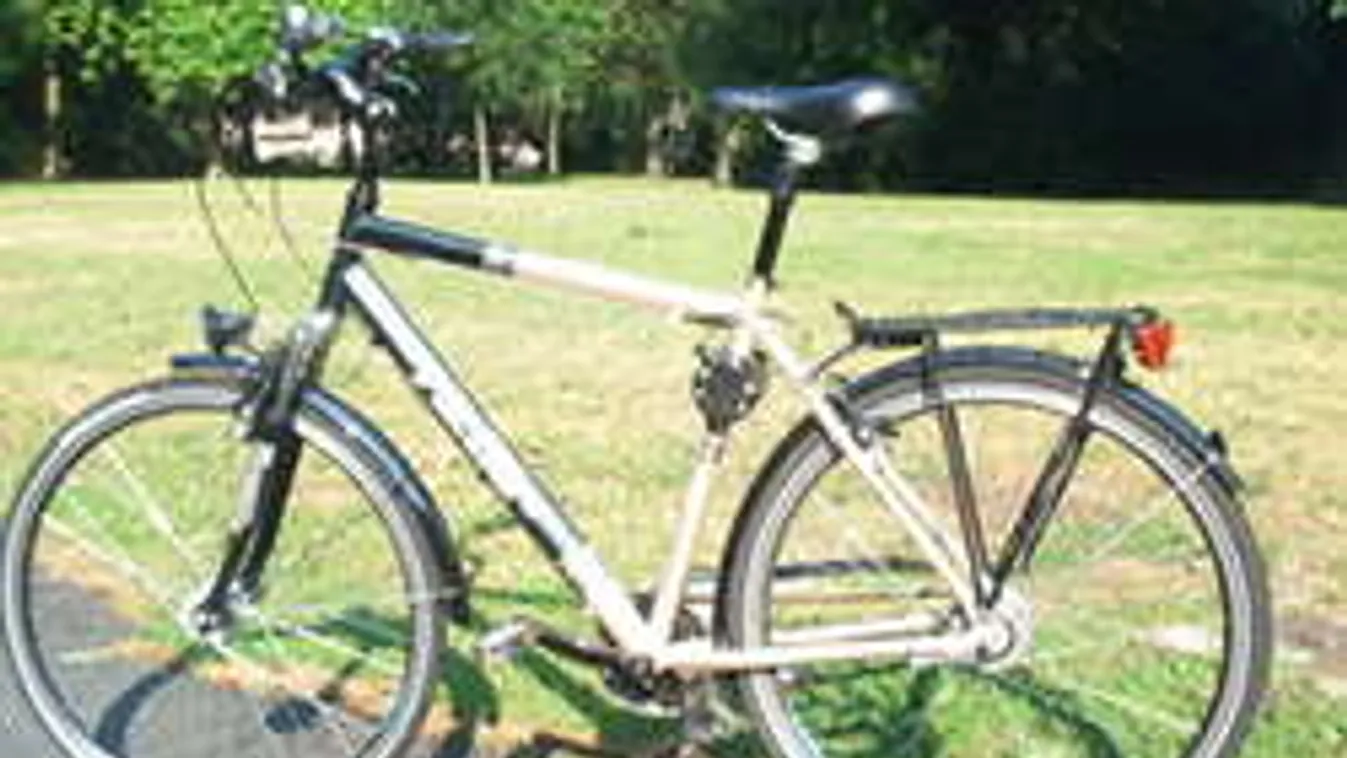 Adófizetők pénzéből: 15 millióért tanítják a migránsokat biciklizni