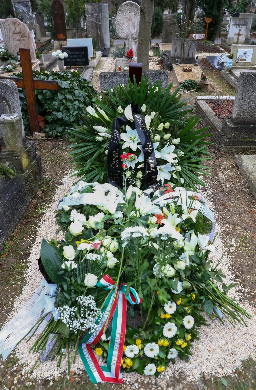 DB52AD97AB1E4890951ADDAFC64BBDC0-scaled