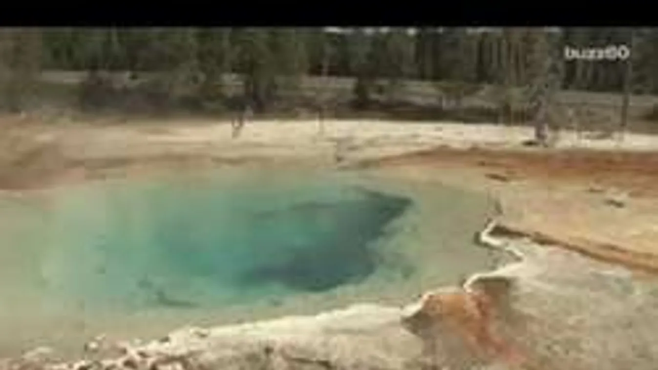 Hihetetlen: egy gejzírben bukkantak a mindent túlélő ismeretlen lényre!