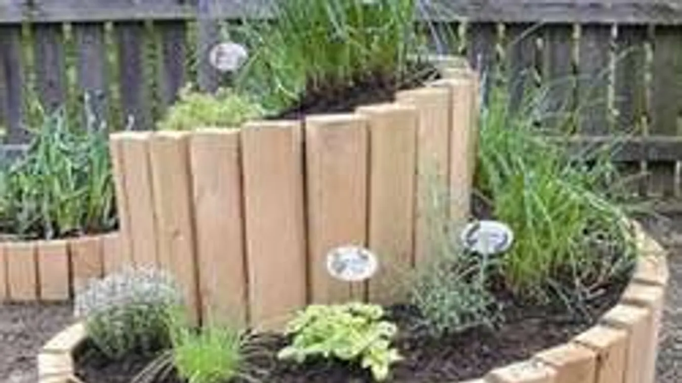 Végre egy csiga, aminek te is örülsz majd a kertben!