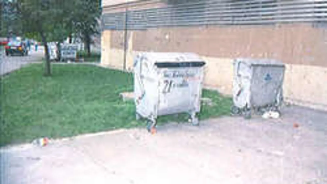 Élve dobta ki a kukába babáját a fehérvári nő, zokogott a tárgyaláson