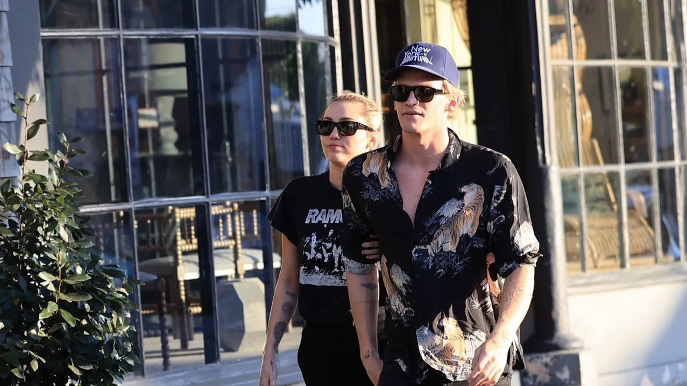 ** PREMIUM EXCLUSIVE RATES APPLY ** Miley Cyrus and Cody Simpson window shopping for furniture