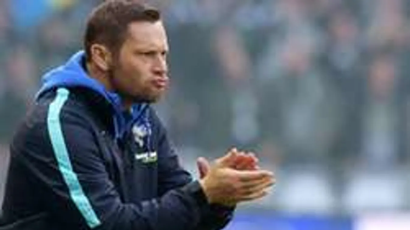 Dárdai törheti be a németek fenegyerekét