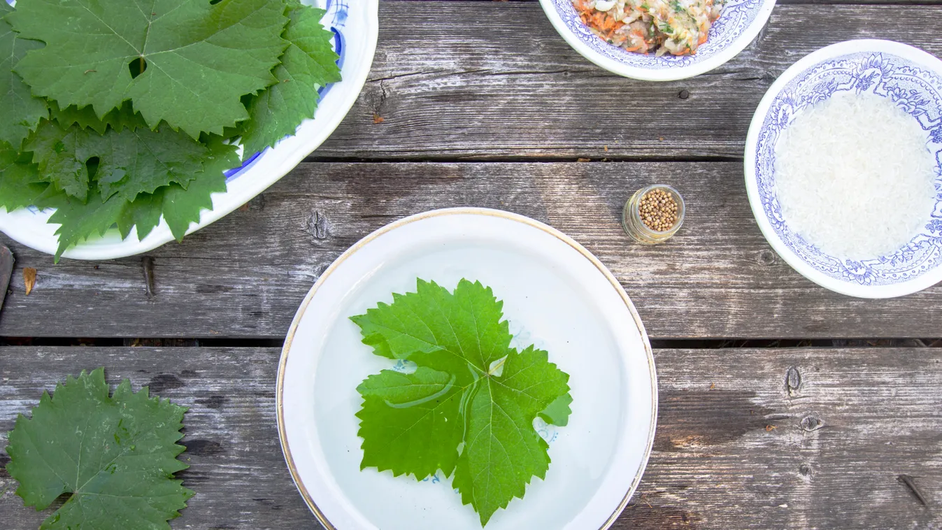 Homemade,Dolma,From,Grape,Leaves.,Cooking,Process