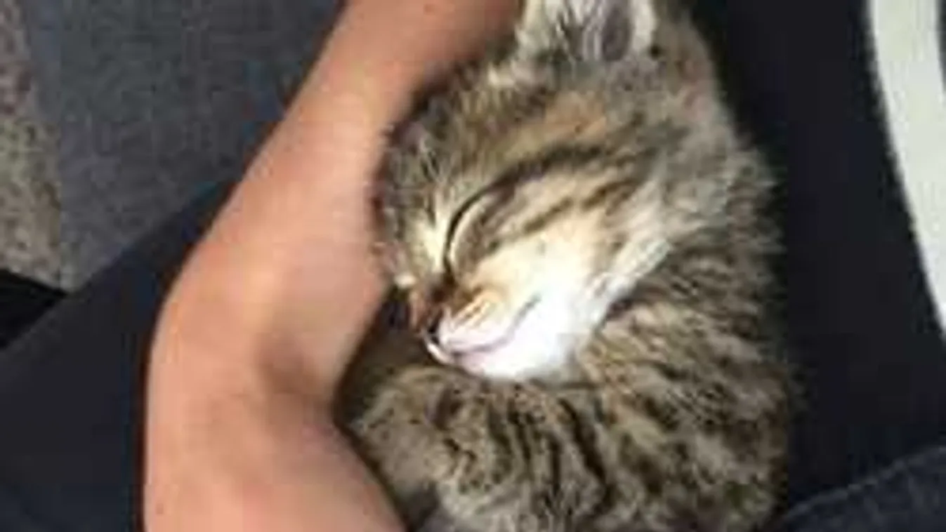 Fáradt vagy és kialvatlan? Ez a 7 ötlet végképp pokollá teszi az éjszakád