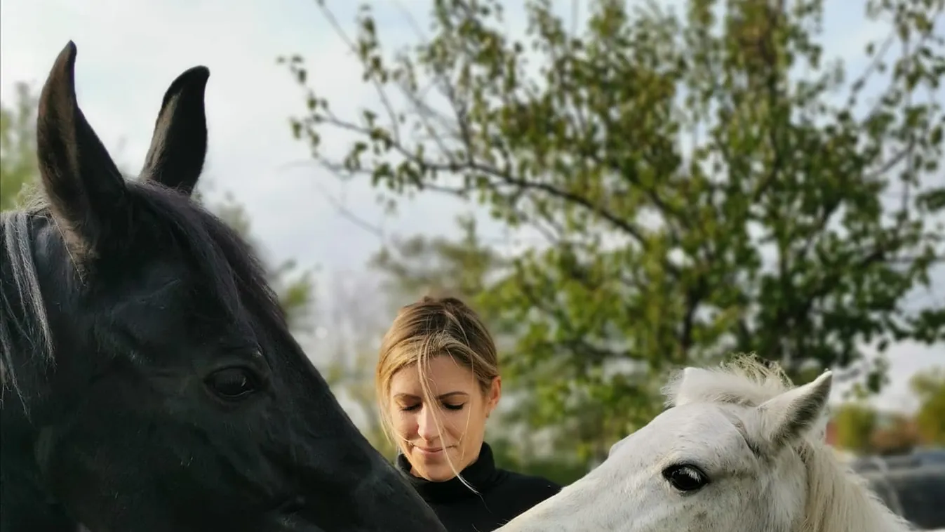 Hazugsággal csalták el a lovakat a magyar családtól – szörnyűség történt az állatokkal