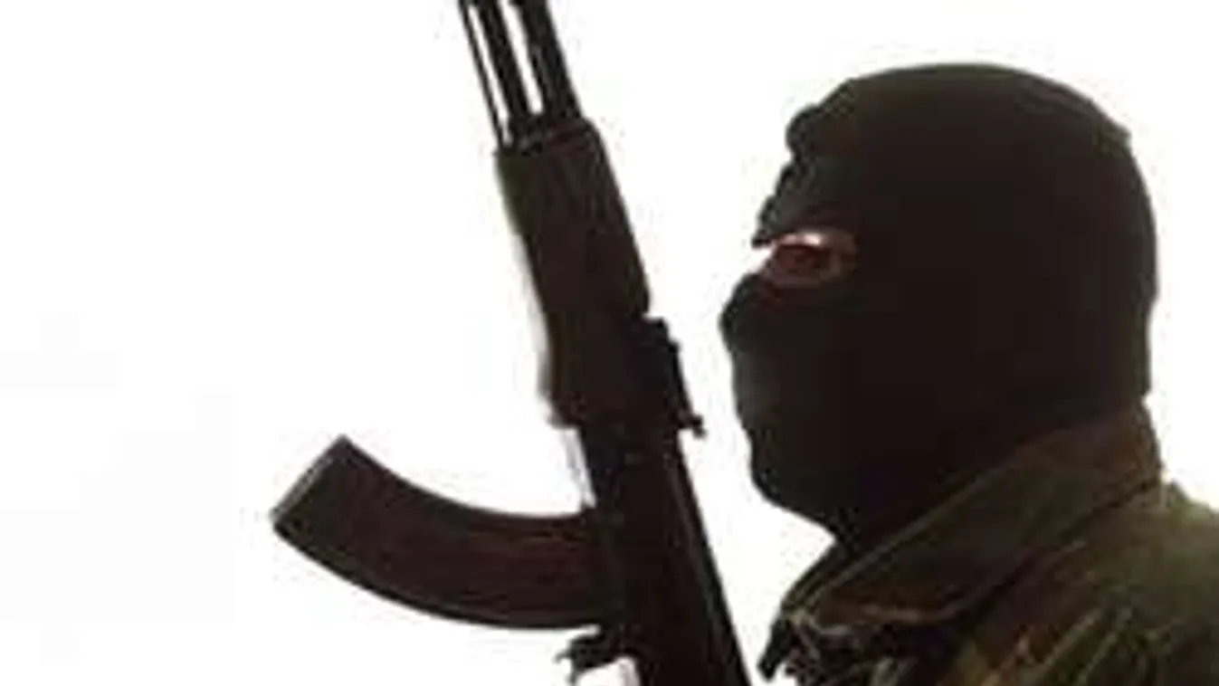 Hónapokig támogatta a svéd állam az ismert terroristát