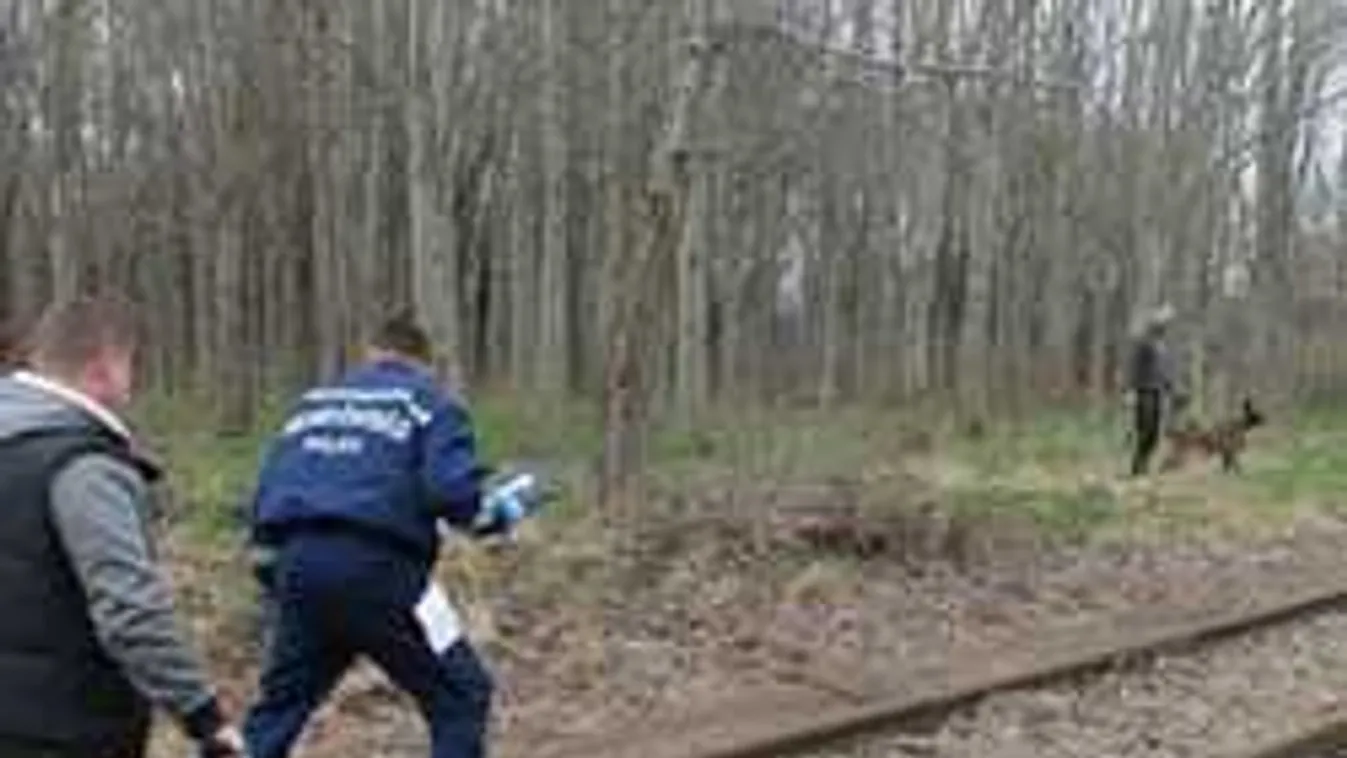 Brutális részletek a nyíregyházi gyilkosságról: Százszor szúrt Gábor