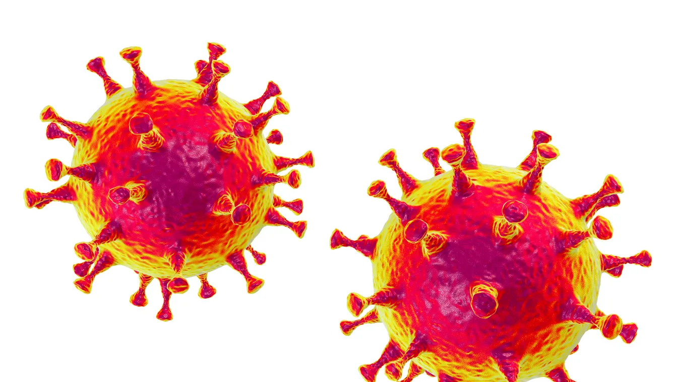 MERS coronavirus, illustration