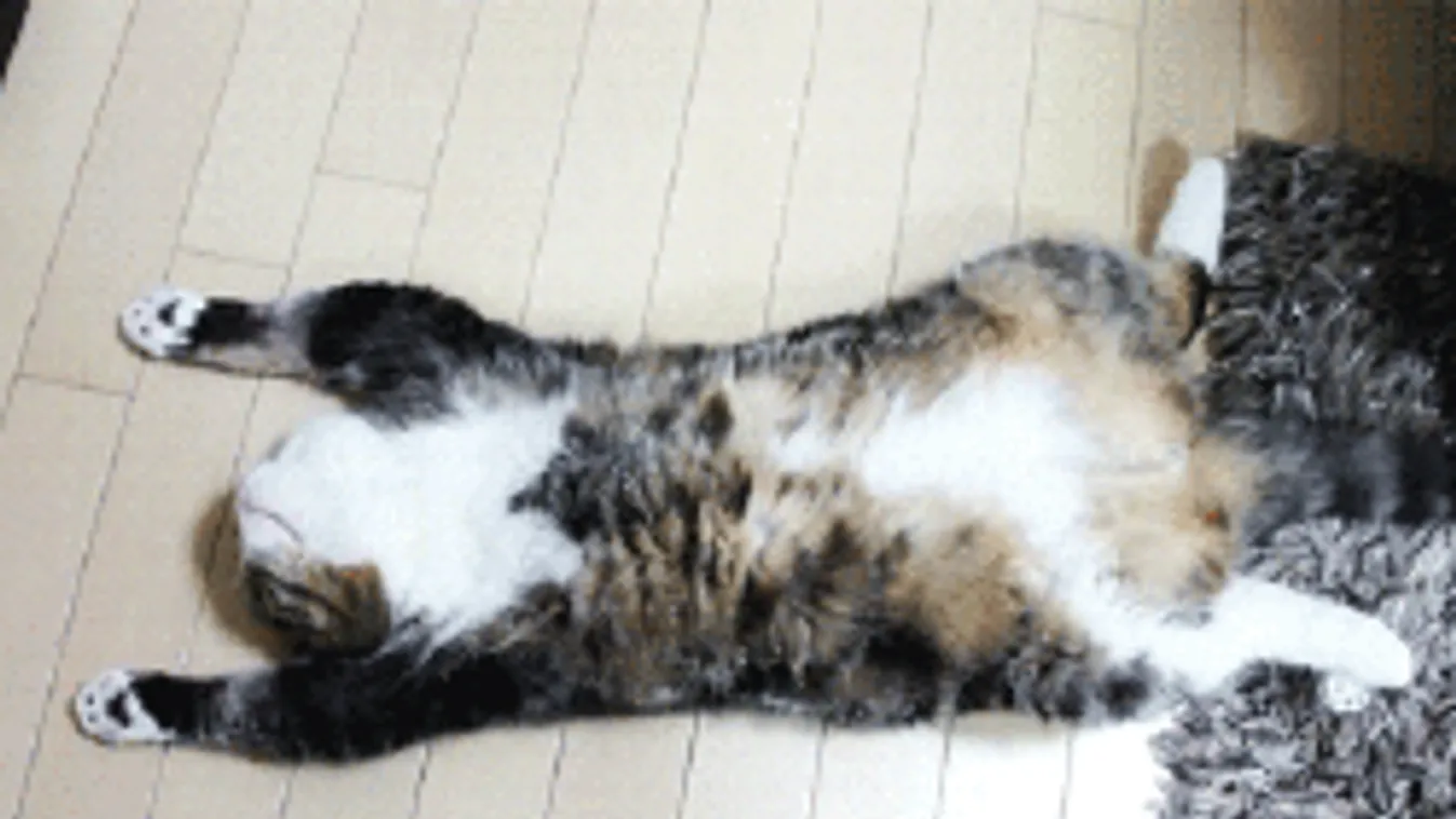 Tökéletes tavaszi időnk lesz hétvégén, utána kellemetlen meglepetés jön