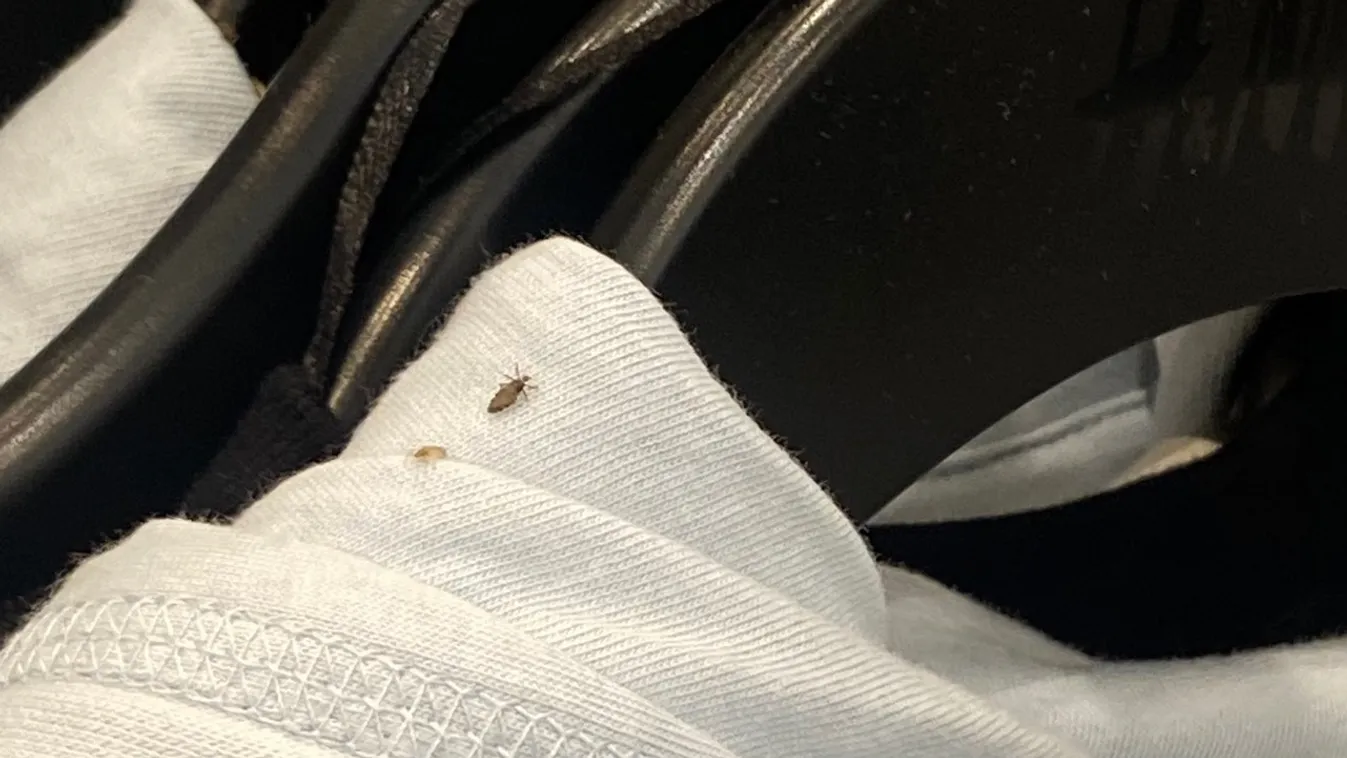 Undorító fotót lőtt a H&M-ben a fiatal lány, azonnal ki is rúgták