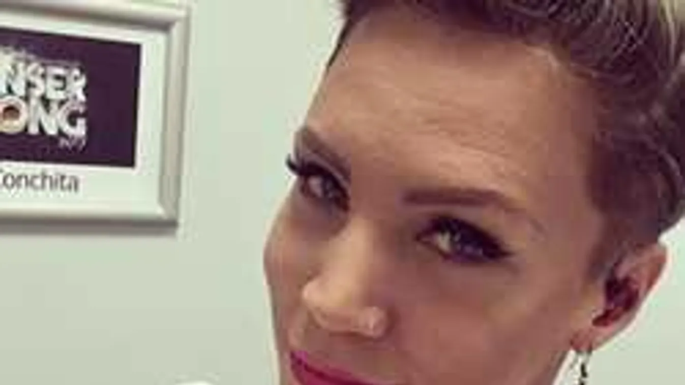 Ikertornyok, megtaláltuk Pink magyar hasonmását!