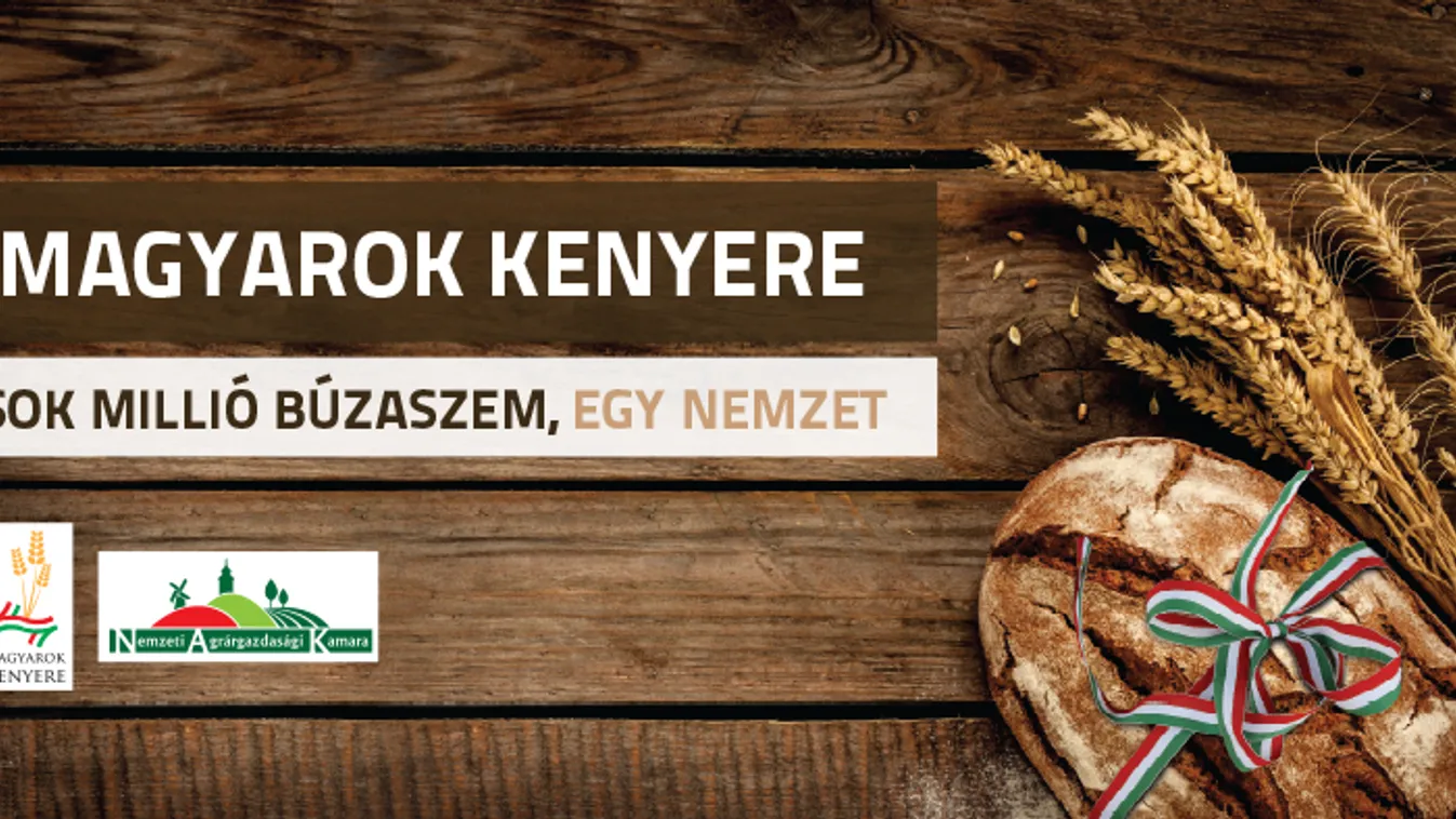 A Magyarok kenyerét egy tonna lisztből sütik