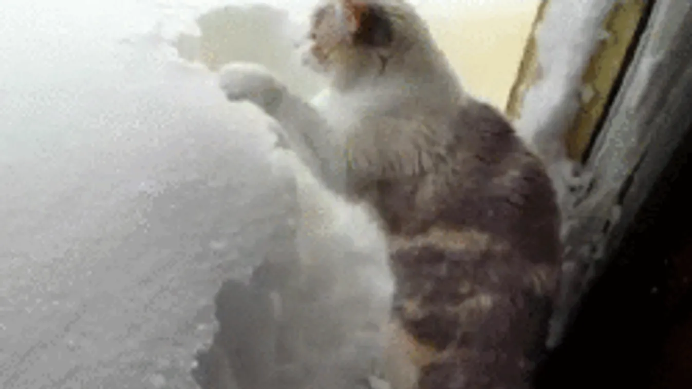 Hó lepi el az országot, egyre kegyetlenebb fagyok jönnek