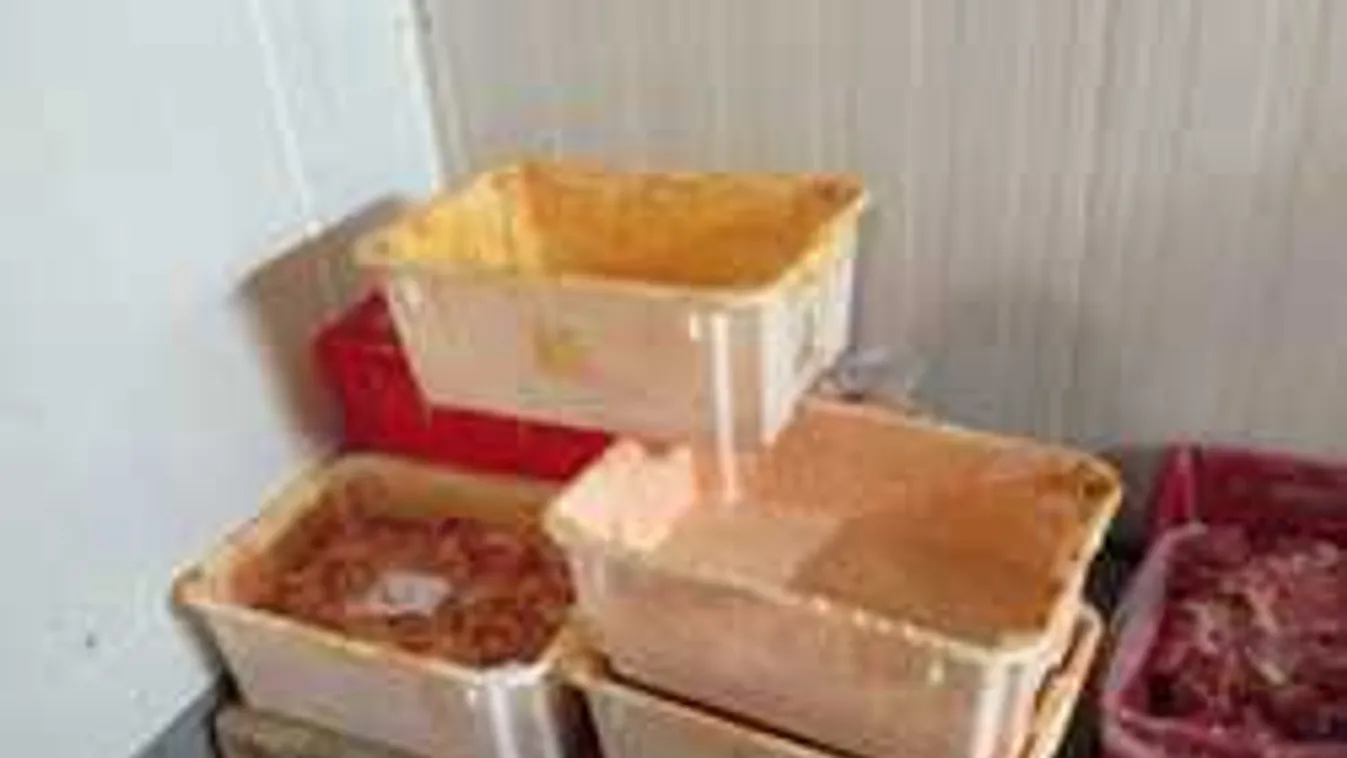 Elborzadtak az ellenőrök, amikor beléptek a két vidéki üzembe