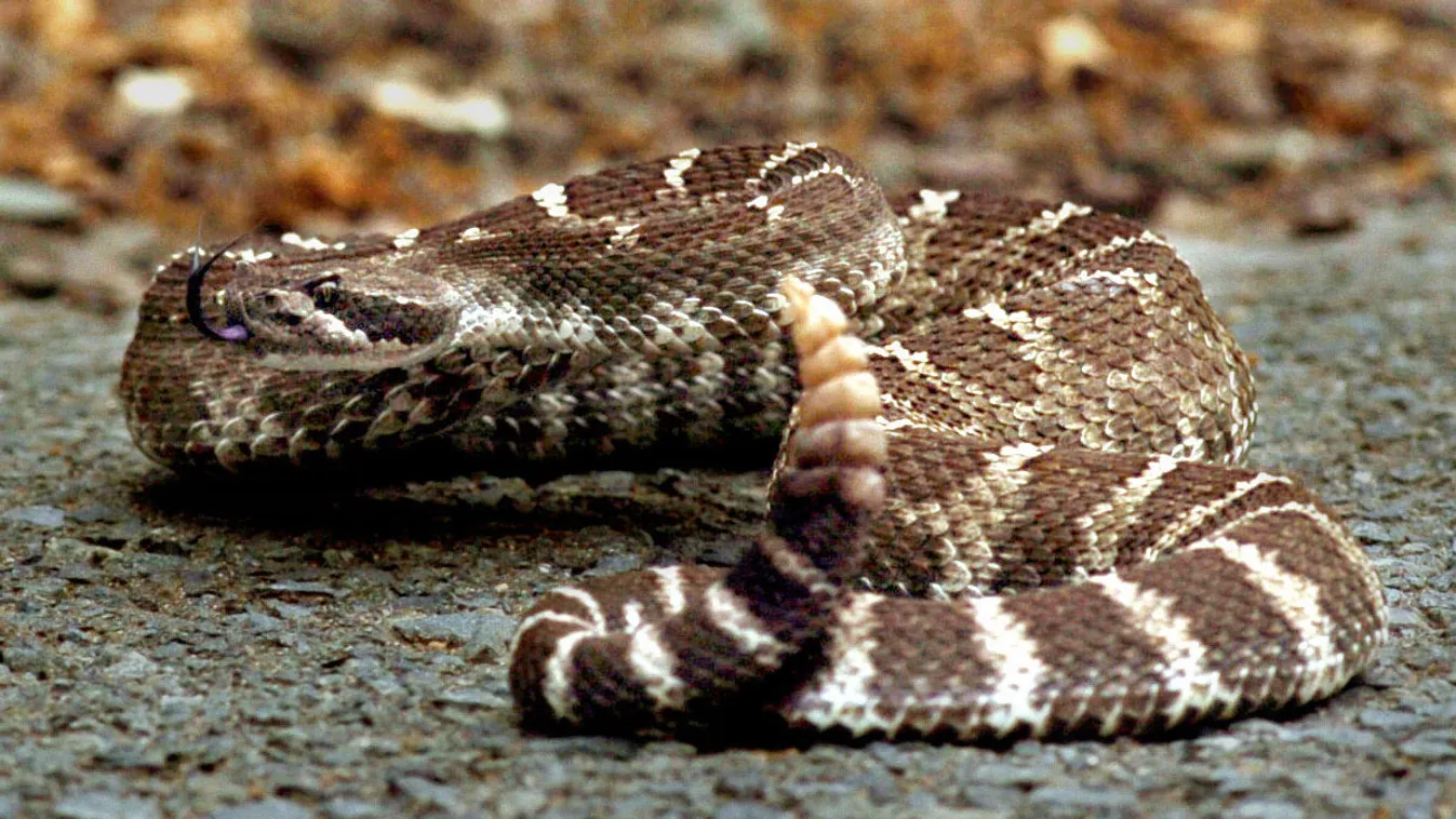 Scenes Of Mt. Diablo