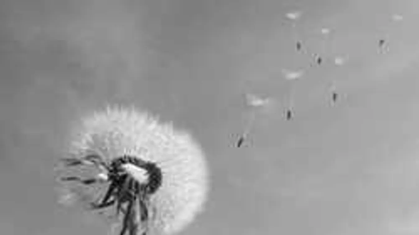 Összecsapnak az elemek, szélviharral támad az időjárás