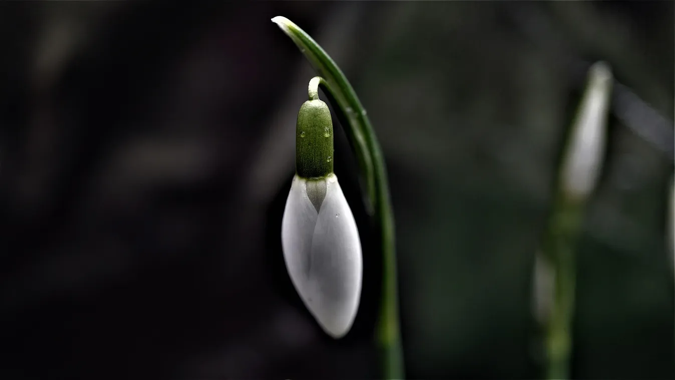 Viharos szél és záporok zavarják meg a hétvégi időt