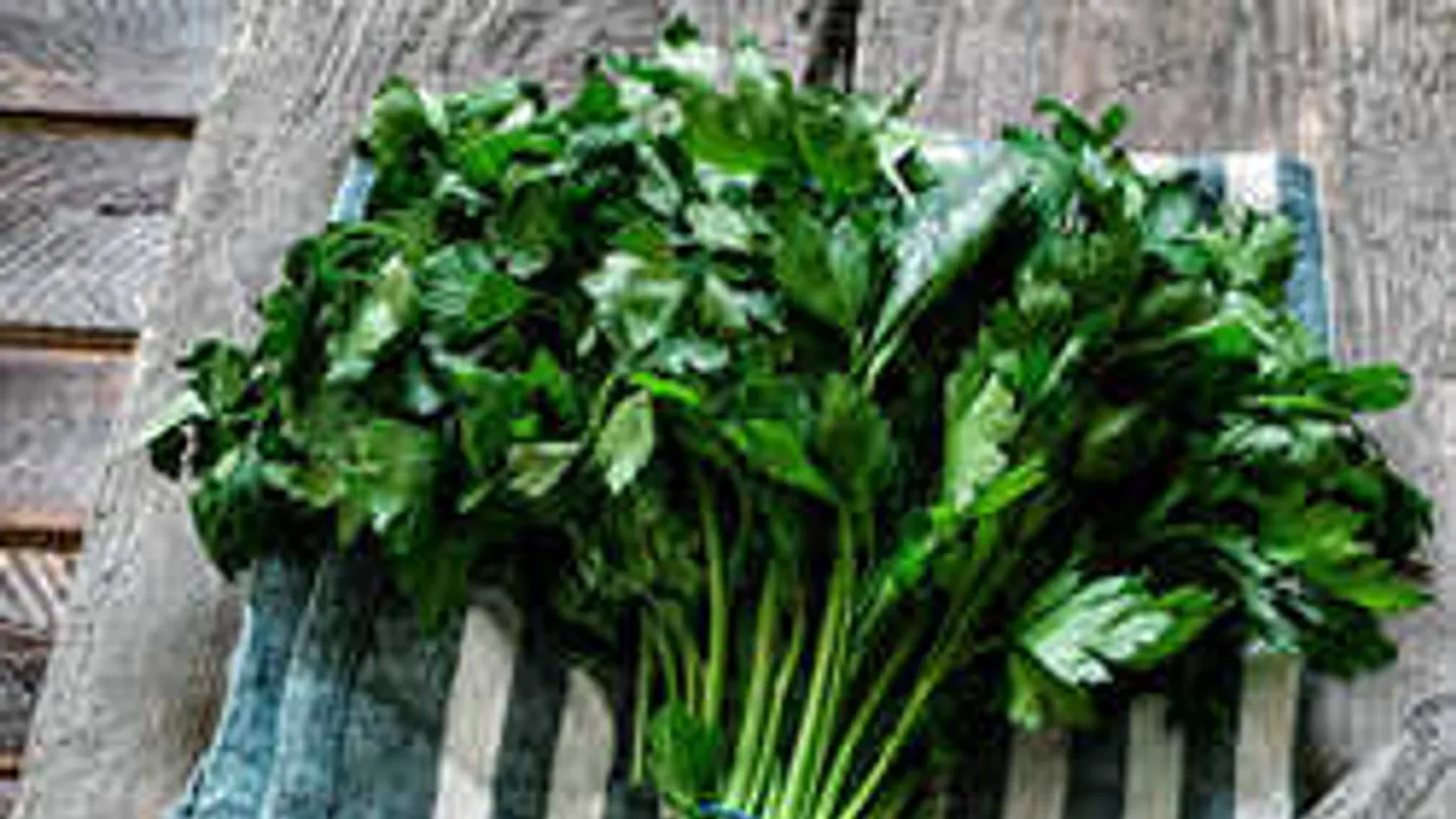 Eszméletlen gyógyító erővel bír ez a primitív zöldfűszer