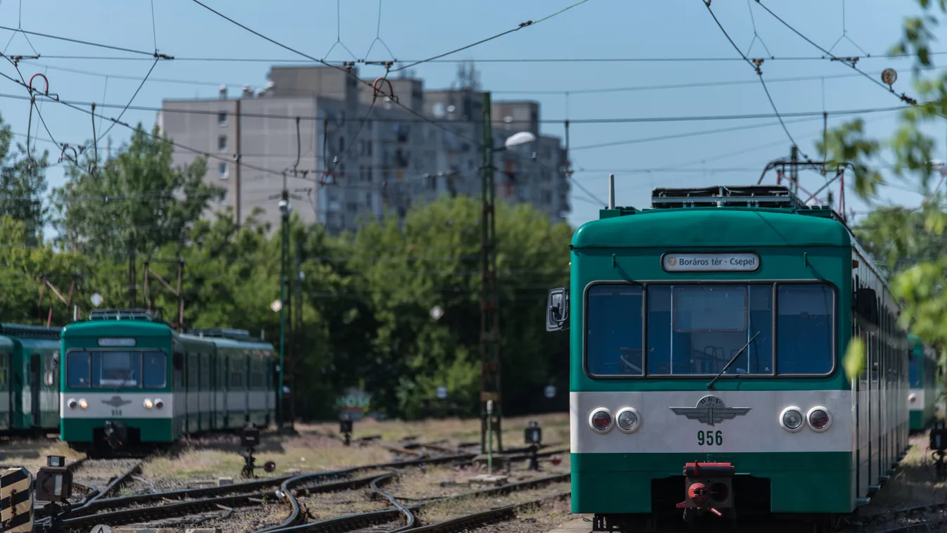 Öngyilkos lett a taxisofőr: azt hitte, halálos balesetet okozott