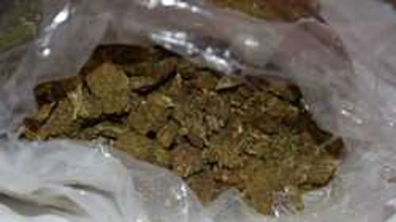 Rendőrök rohantak le egy csepeli lakást: ők is meglepődtek, mit rejtegettek a lakók