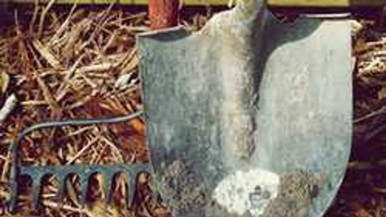 Szörnyű tragédia Pándon: lapátnyéllel vertek halálra egy idős férfit