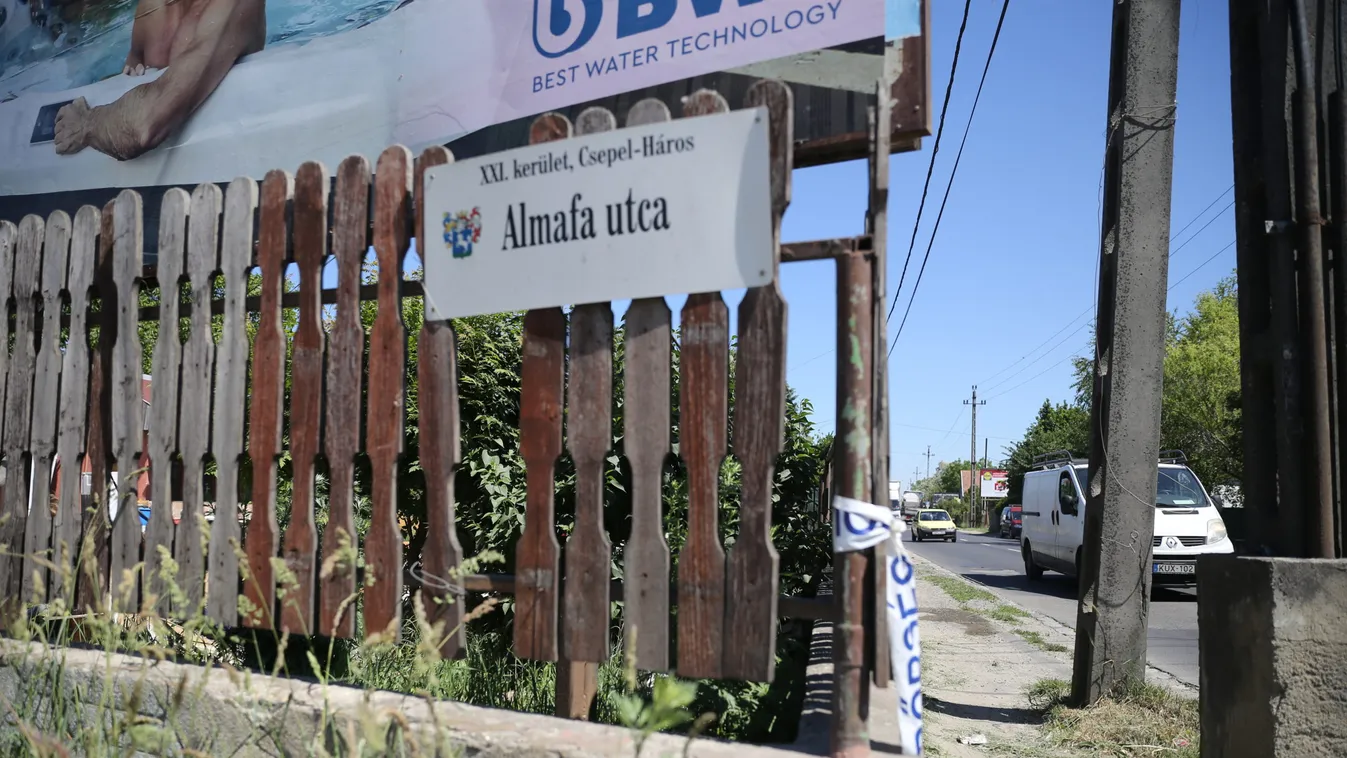 Pitbulltámadás Csepelen: „A fiam hallotta meg, hogy jajveszékel Timi” – mondta az apuka – Videó