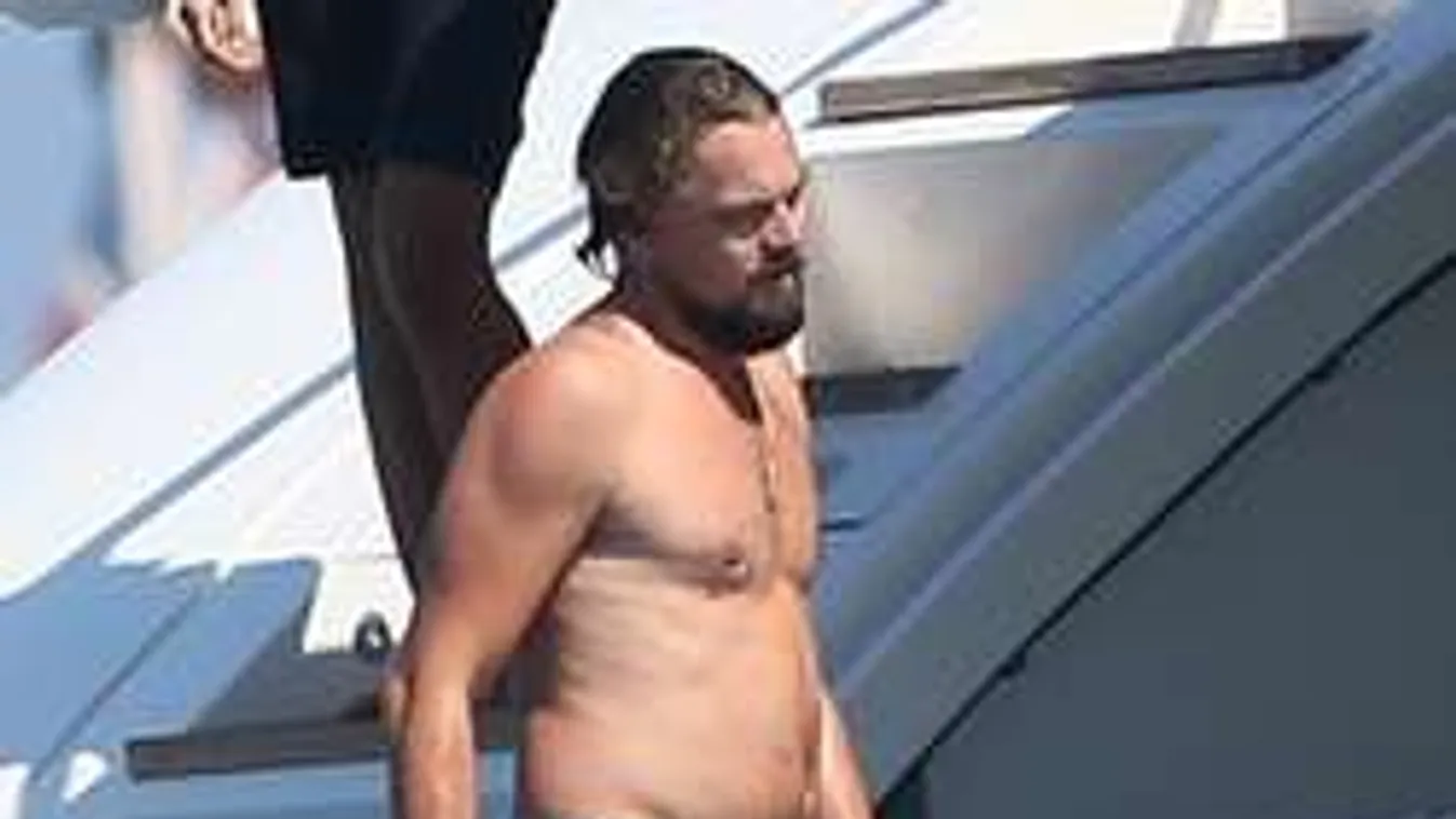 Futótűzként terjed a papa-pocak