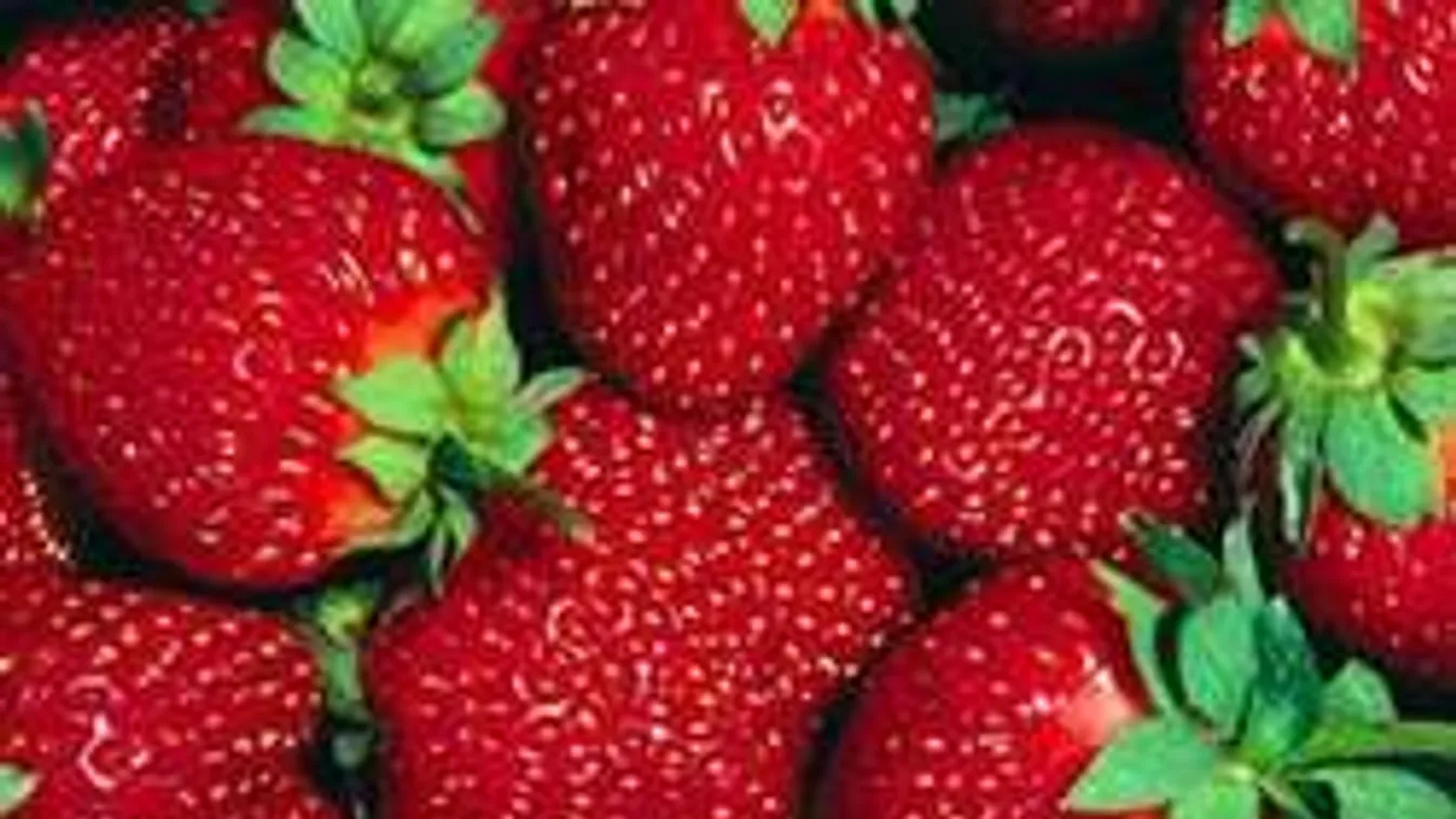 Merevedési problémákat okoz a sültkrumpli?