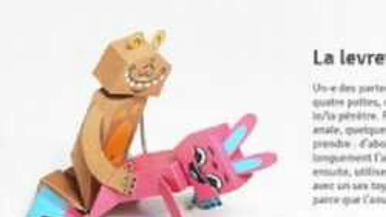 Szex, kutyapózban. Gyermekpornós, oktató honlap jelent meg...