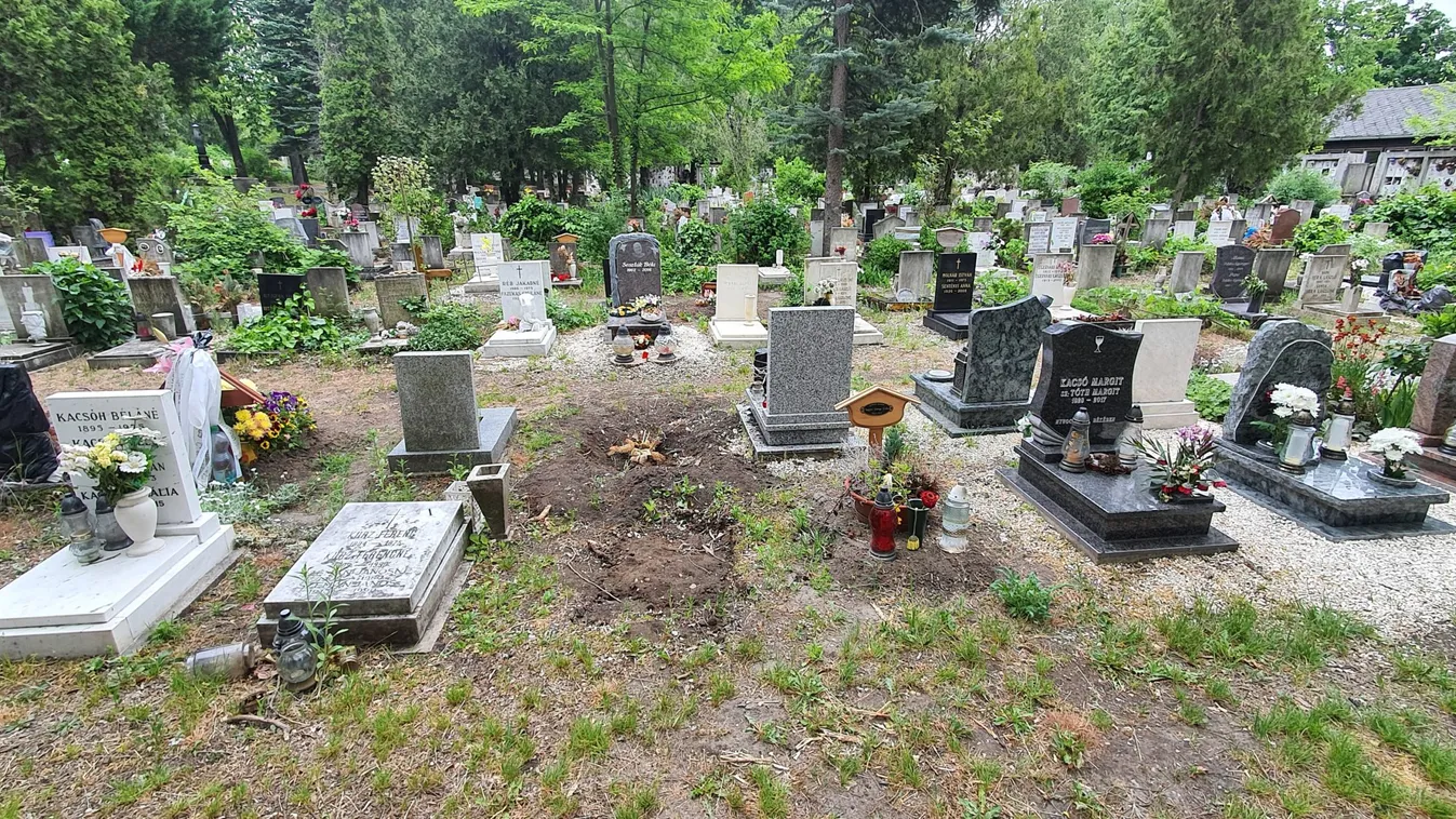 Azonnal igent mondott Szilágyi özvegyének a világhírű zenekar vezetője