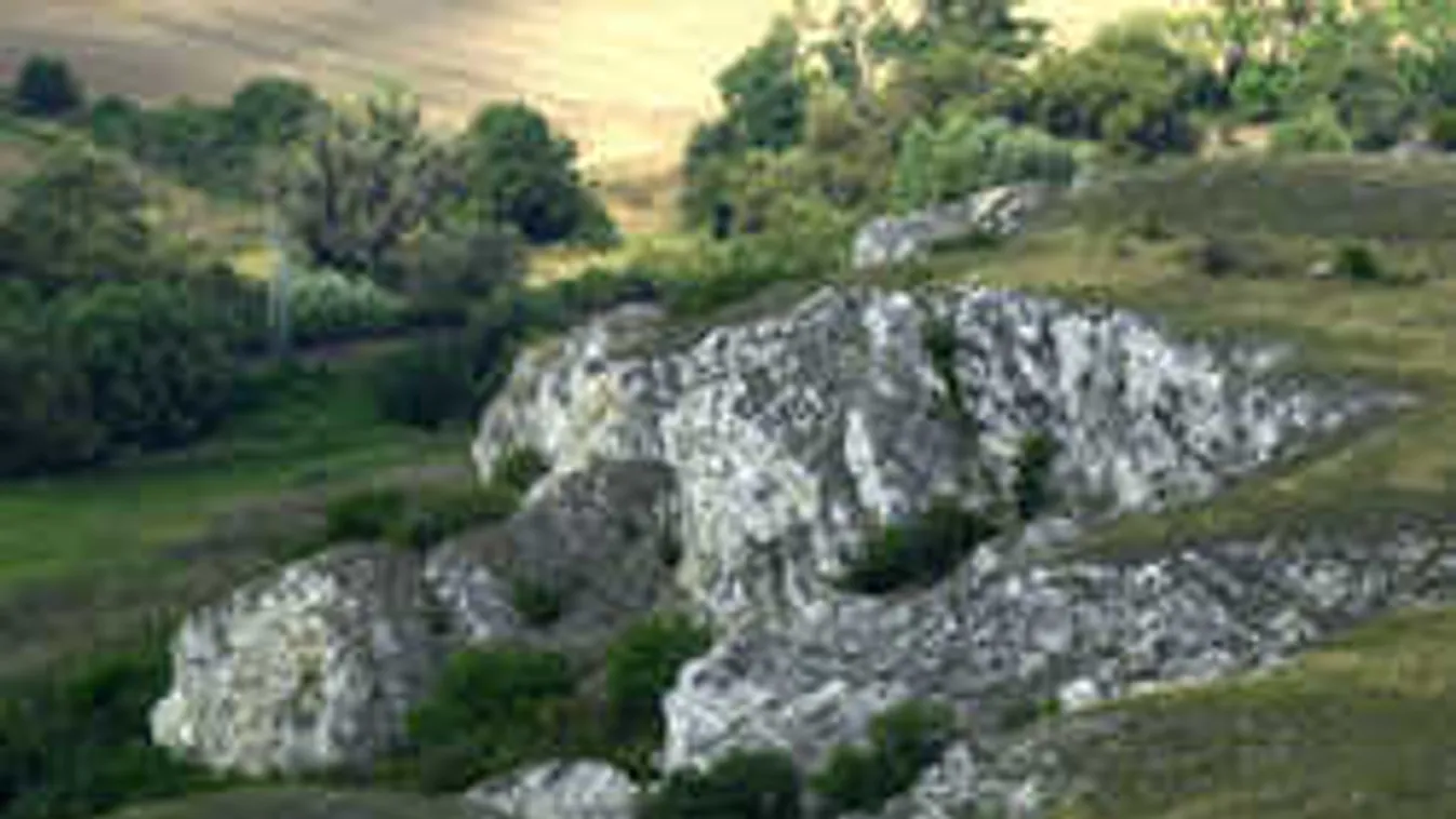 Dráma sötétedés után, a Bakonyban szólaltak meg a rendőrségi szirénák